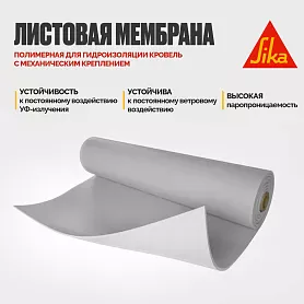 Sikaplan ® VG-12 (RUS P)